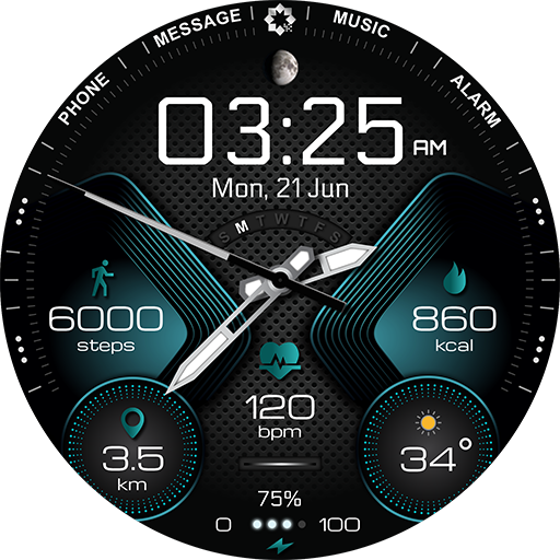 H310 Artistic Watch Face